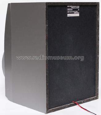Speaker System SX-NS223; Aiwa Co. Ltd.; Tokyo (ID = 1768296) Speaker-P
