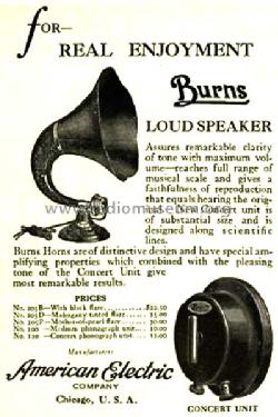 Burns Loudspeaker 205B; American Electric (ID = 1368245) Speaker-P