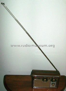 10 Transistor AM/FM Portable 64R78; Arvin, brand of (ID = 1852943) Radio
