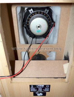 Active Subwoofer System AS 100 SC; Canton; Weilrod (ID = 1360570) Parlante