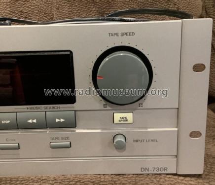 Stereo Cassette Tape Deck DN-730R; Denon Marke / brand (ID = 2973670) R-Player