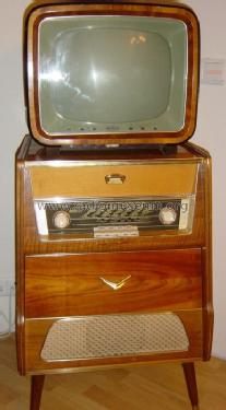 TV 310; Eumig, Elektrizitäts (ID = 105992) Television