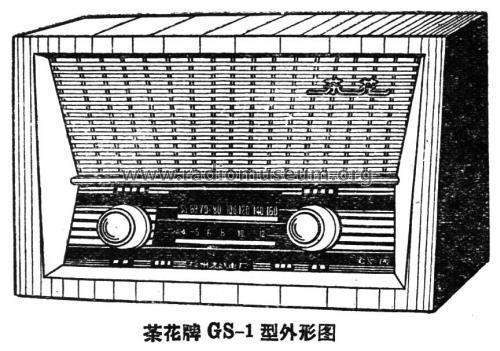 Chahua 茶花 GS-1; Fuzhou 福州无线电厂 (ID = 795050) Radio