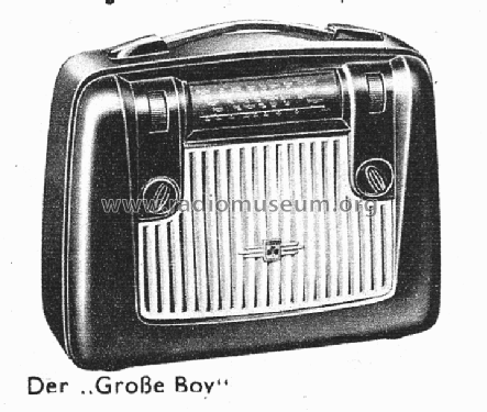Grosser Boy 296BGW ; Grundig Radio- (ID = 1141687) Radio