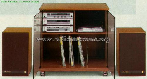 HiFi Receiver R 30; Grundig Radio- (ID = 461486) Radio