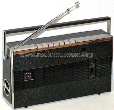 Melody-Boy 1000E; Grundig Radio- (ID = 1046951) Radio