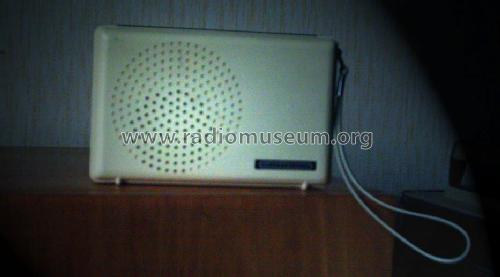 Mini-Boy 300; Grundig Radio- (ID = 47831) Radio