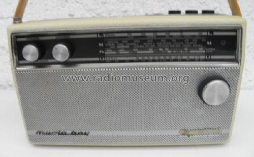 Music-Boy 204; Grundig Radio- (ID = 827110) Radio