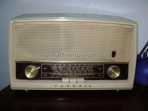 Musikgerät Type 88; Grundig Radio- (ID = 318839) Radio