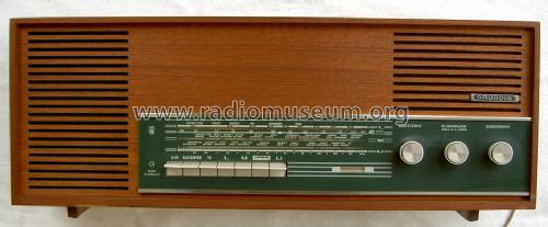 Musikgerät RF135; Grundig Radio- (ID = 675214) Radio