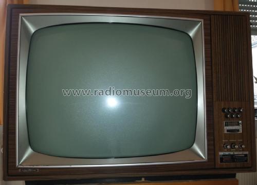 T1100 Color; Grundig Radio- (ID = 2058348) Television