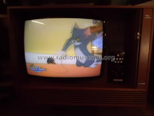 Tele-Dirigent Color S3000 M Ch= T902a; Grundig Radio- (ID = 1665820) Fernseh-E