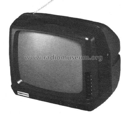 Hornyetta Mini 31T5120 /30 Ch= TX; Horny Hornyphon; (ID = 302423) Télévision