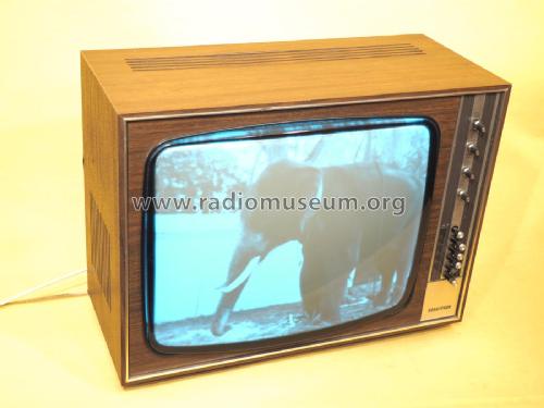 Medici 70 W51T486 /06 Ch= F6; Horny Hornyphon; (ID = 2021372) Television