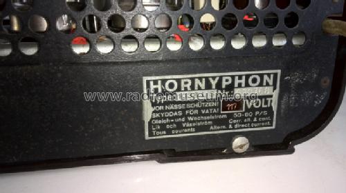 Super-Piccolo 1038L; Horny Hornyphon; (ID = 1723426) Radio