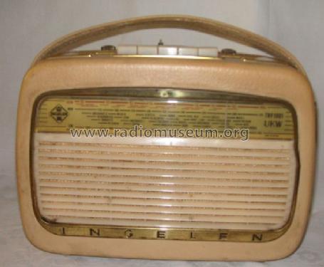 TRV1001UKW; Ingelen, (ID = 137481) Radio