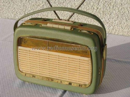 TRV1001UKW; Ingelen, (ID = 510370) Radio