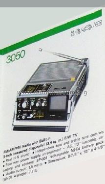 3050; JVC - Victor Company (ID = 1612014) Fernseh-R
