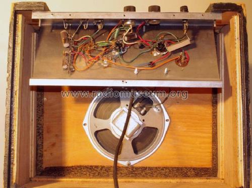 Regal Amplifier Model 300; Lifco Record Players (ID = 1968724) Ampl/Mixer