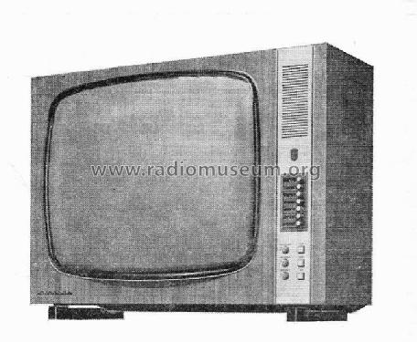 Electronic 699; Minerva-Radio (ID = 140237) Televisore