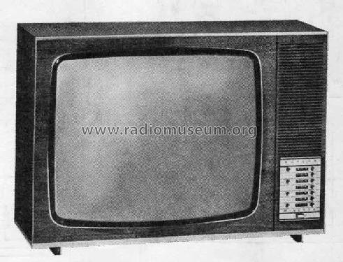 Superb Electronic 706; Minerva-Radio (ID = 139046) Television