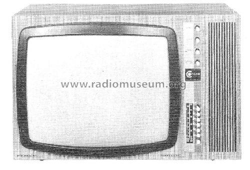 Farbfernsehgerät 59313 837/857; Neckermann-Versand (ID = 1457180) Television