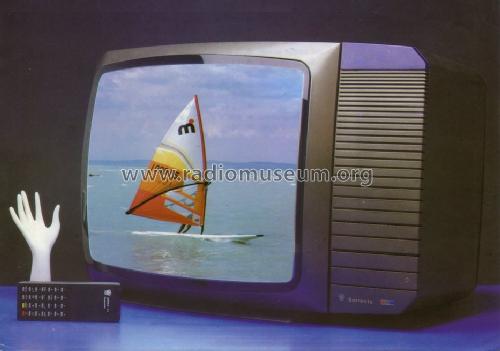 Sorrento Colour Television CTV 3156/K; Orion; Budapest (ID = 1093549) Television