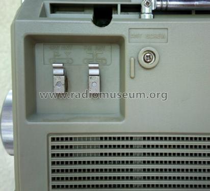FM-LW-MW-SW Stereo Radio Cassette Recorder RX-5030L / LS; Panasonic, (ID = 1676206) Radio
