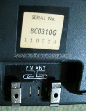 AM-FM Clock Radio RC-100BS; Panasonic, (ID = 1048014) Radio