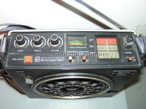 GX300 RF888JB; Panasonic, (ID = 524606) Radio