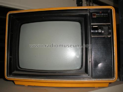 Transistor TV Sofort Bild TR-310EU; Panasonic, (ID = 1229731) Television