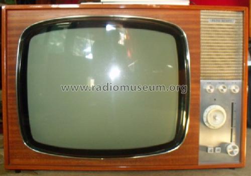 TV960; Peto Scott Co. Ltd. (ID = 1502112) Television