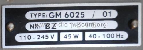 UHF-Millivoltmeter GM6025; Philips; Eindhoven (ID = 3005701) Equipment