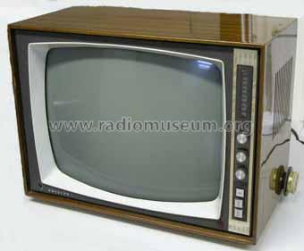 Videomat 19 19TA441A /00 /01 /08 Ch= P6; Philips - Österreich (ID = 1096864) Televisión