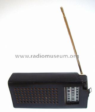Astrad F3TR9-R302; Radiotehnika RT - (ID = 1397024) Radio