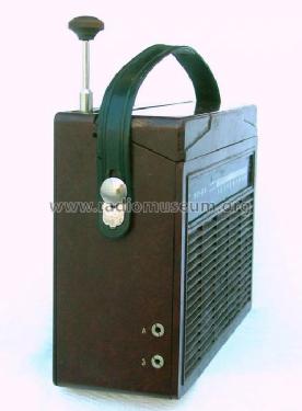 Sinichka - Синичка MP-64 - МП-64; Riazan Radio Works (ID = 482649) Radio