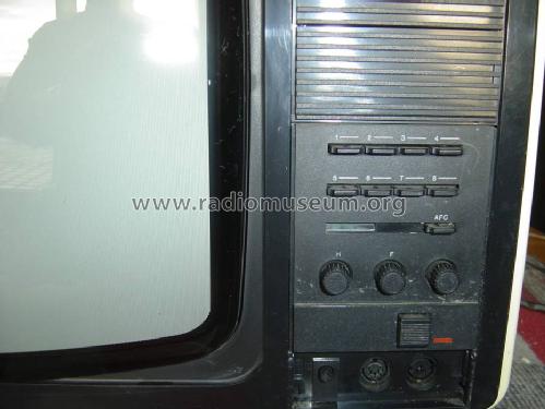 Color-Vision RC6073; Robotron-Elektronik (ID = 158930) Television
