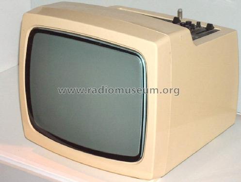 Combi Vision 3101; Robotron-Elektronik (ID = 452269) Television