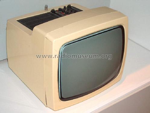 Combi Vision 3101; Robotron-Elektronik (ID = 452270) Television