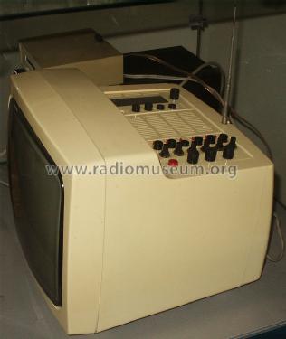 Combi Vision CV310; Robotron-Elektronik (ID = 1207058) Fernseh-R