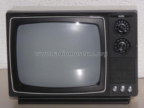 3004; Sanwa (ID = 1795423) Television