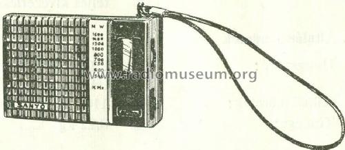 6 Transistor Super Het 6C-368; Sanyo Electric Co. (ID = 401027) Radio