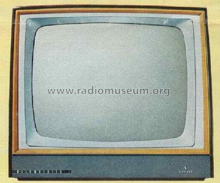 Bildmeister I FT316; Siemens & Halske, - (ID = 1339146) Television
