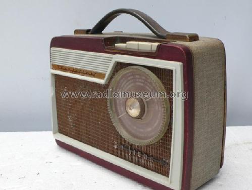 SA6081T; Siera; Belgien (ID = 1684531) Radio