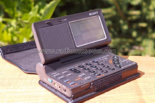 ICF-SW100; Sony Corporation; (ID = 1500903) Radio