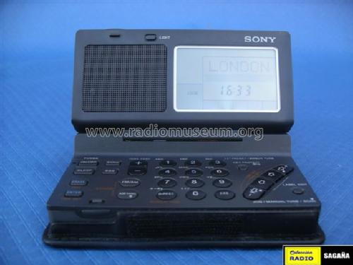 ICF-SW100; Sony Corporation; (ID = 198087) Radio