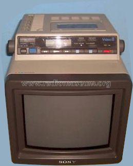 Trinitron Color Video Monitor EVM-9010P; Sony Corporation; (ID = 697164) Television