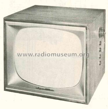 21TM10 15V215; Sparks-Withington Co (ID = 2106198) Televisore