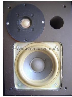 B3010 HiFi; Stern-Radio (ID = 254544) Speaker-P