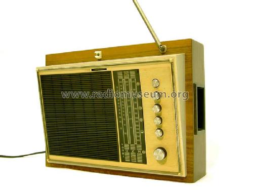 Mascot 6030; Stern-Radio (ID = 725260) Radio